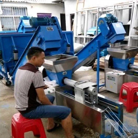 Automatic mushroom bagging plant (2)