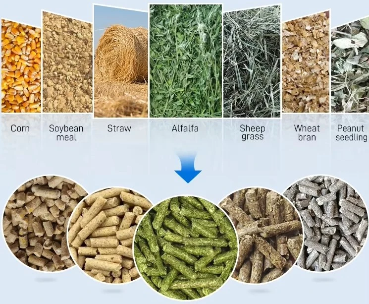 feed pellet feed pellet